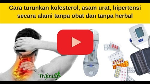 Kolesterol asam urat normal alami