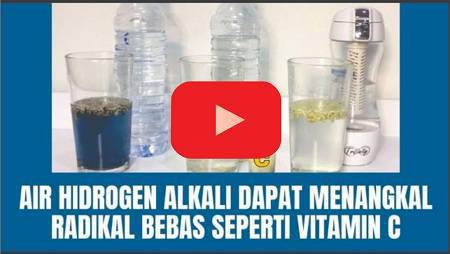 Cara produksi antioxidan (VIT C) sendiri kapan pun n dimana pun u perkuat imunitas tubuh